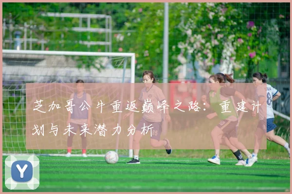 芝加哥公牛重返巅峰之路：重建计划与未来潜力分析
