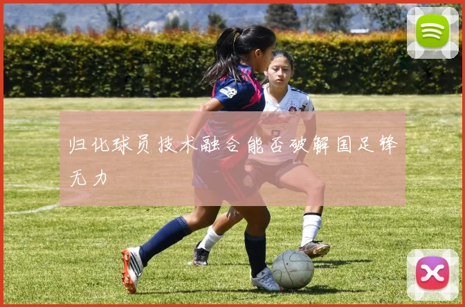 归化球员技术融合能否破解国足锋无力