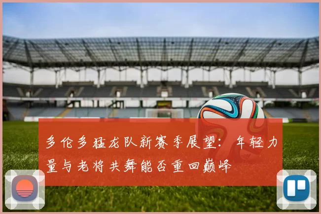 多伦多猛龙队新赛季展望：年轻力量与老将共舞能否重回巅峰