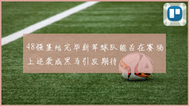 48强集结完毕新军球队能否在赛场上逆袭成黑马引发期待