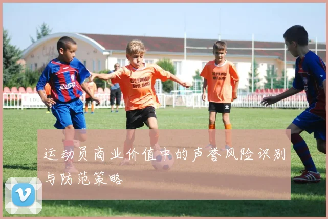 运动员商业价值中的声誉风险识别与防范策略