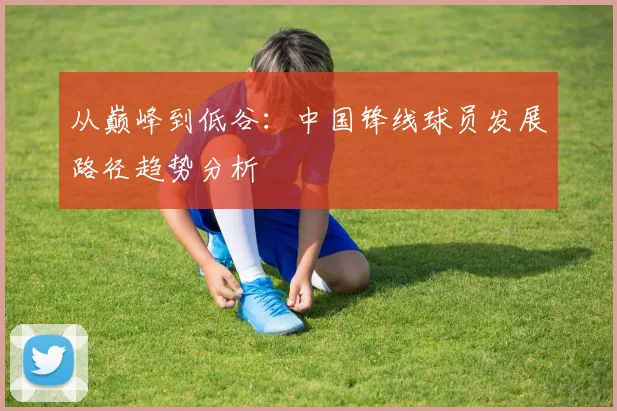 从巅峰到低谷：中国锋线球员发展路径趋势分析